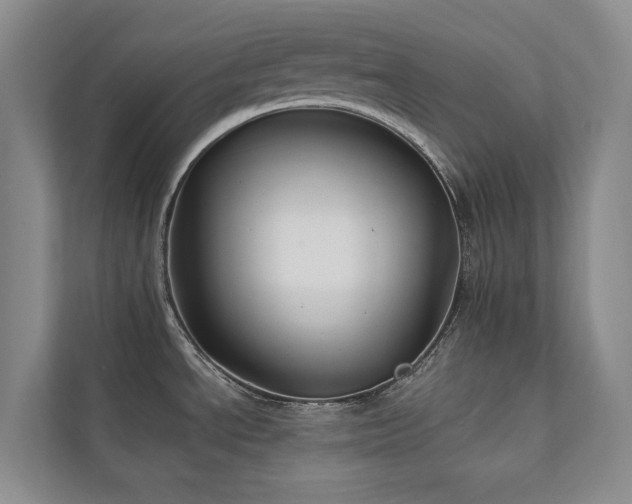 X0000111241534200907021400
