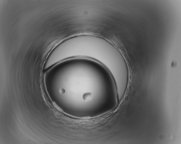 X0000111240001200907091410