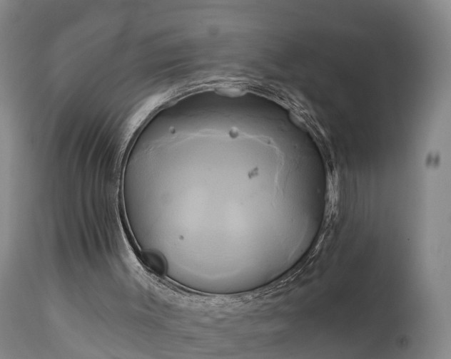 X0000111240003200907091410