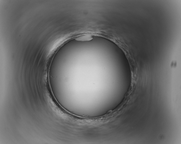 X0000111240005200907091410