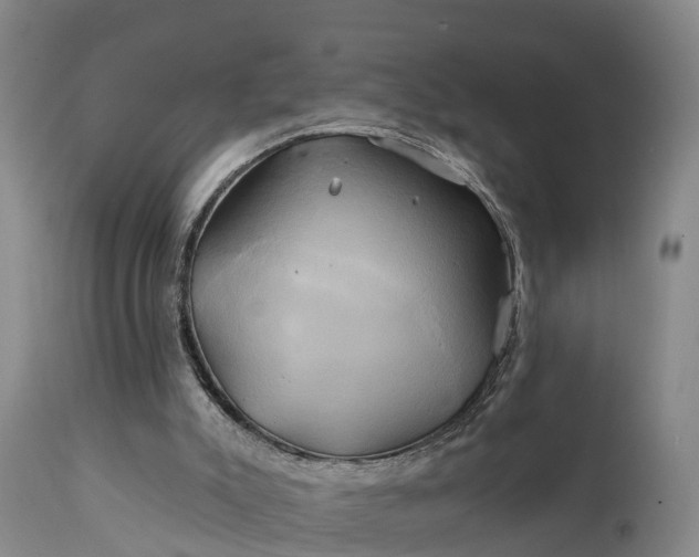 X0000111240007200907091410