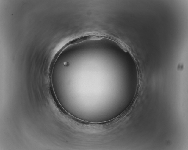 X0000111240008200907091410