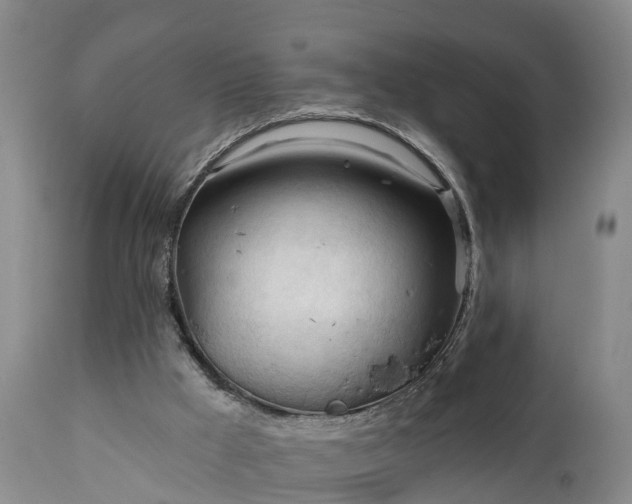 X0000111240009200907091410
