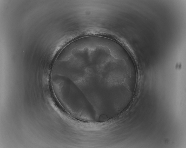 X0000111240010200907091410