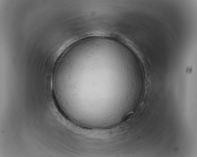 X0000111240011200907091410