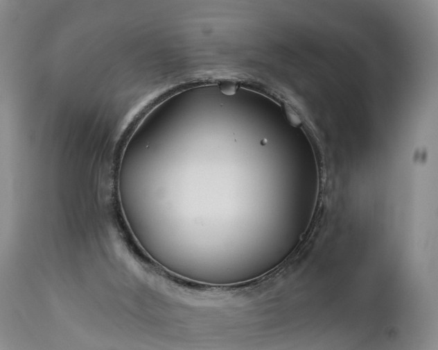 X0000111240012200907091410