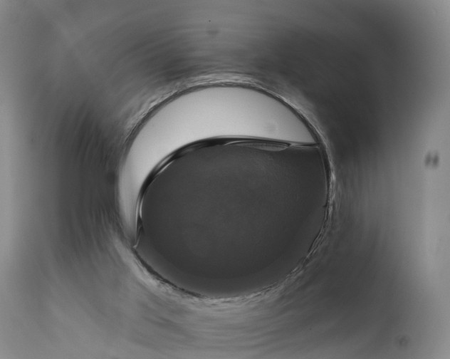 X0000111240013200907091410