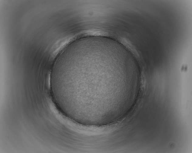 X0000111240014200907091410