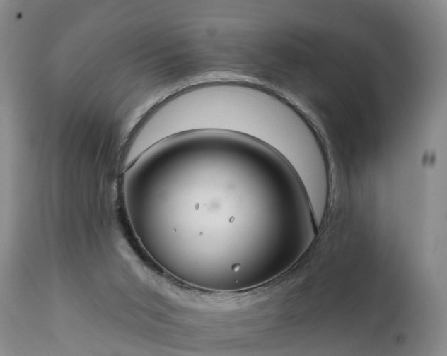 X0000111240015200907091410