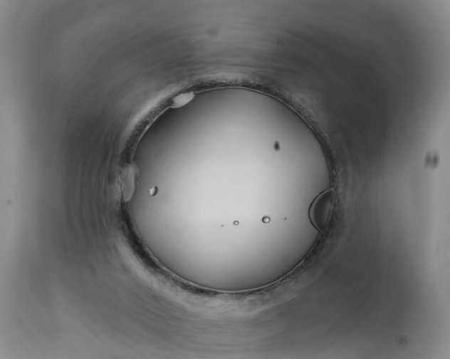 X0000111240016200907091410