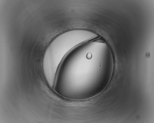 X0000111240017200907091410