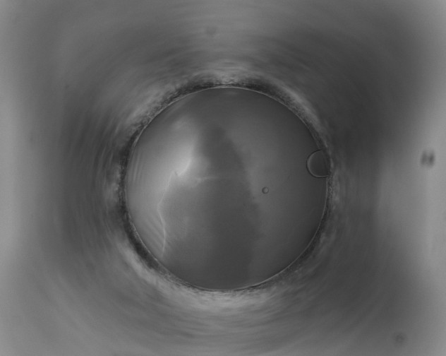 X0000111240018200907091410