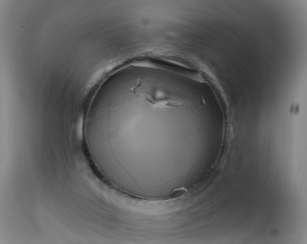 X0000111240019200907091410