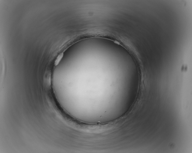 X0000111240021200907091410