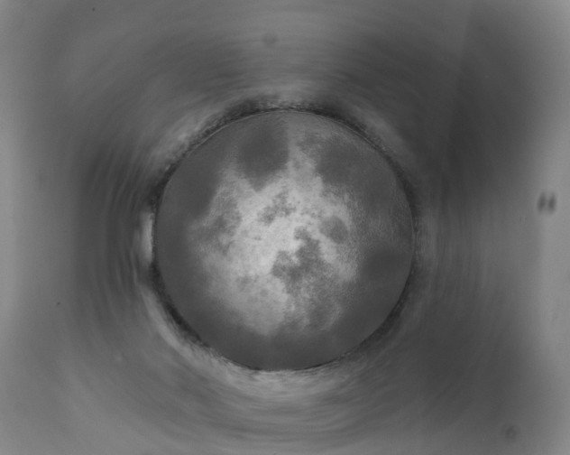 X0000111240022200907091410