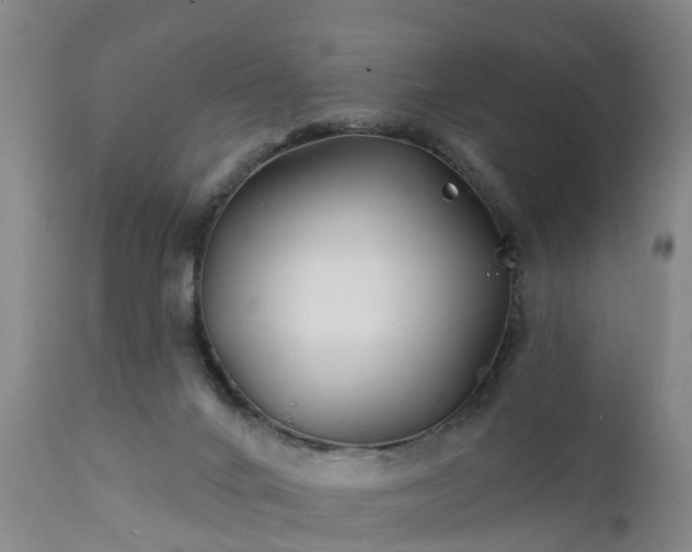 X0000111240024200907091410