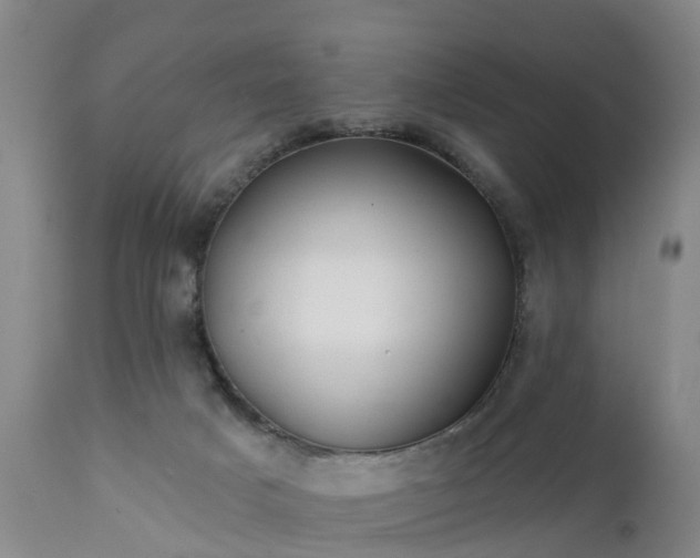 X0000111240025200907091410