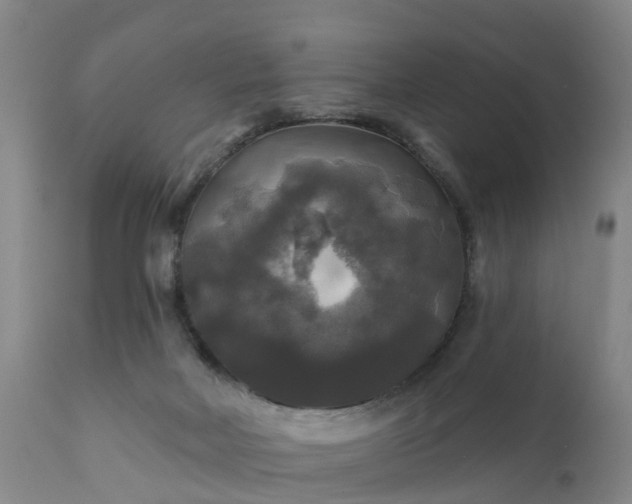 X0000111240026200907091410