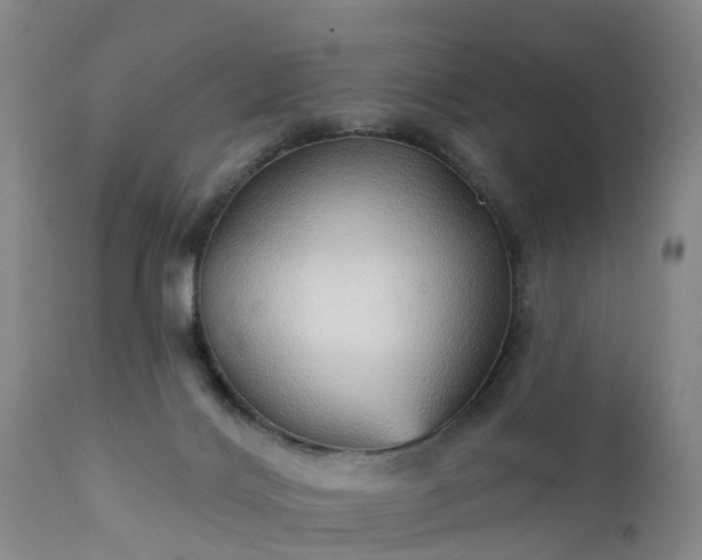 X0000111240028200907091410