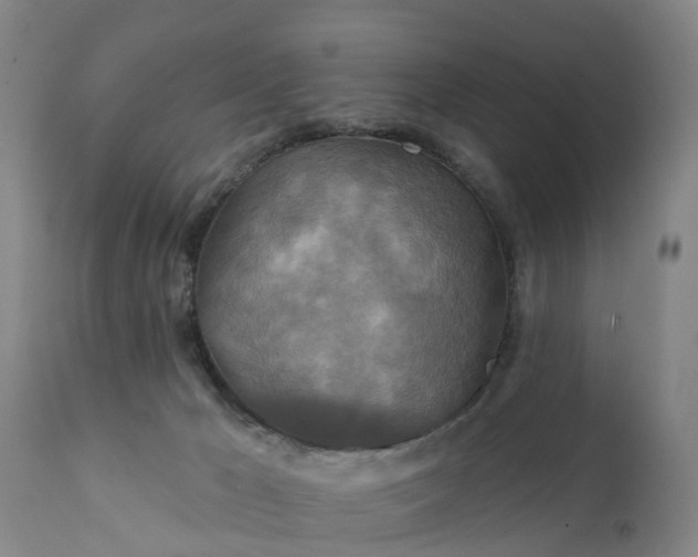 X0000111240029200907091410