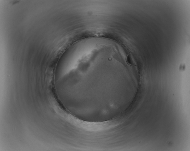 X0000111240030200907091410