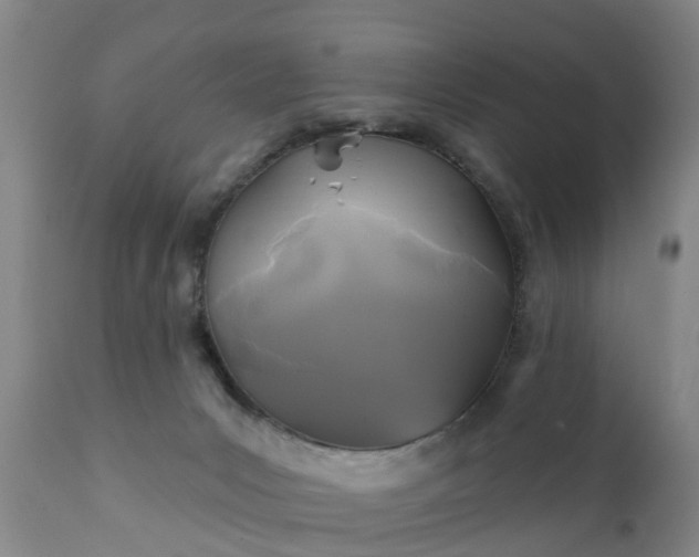 X0000111240031200907091410