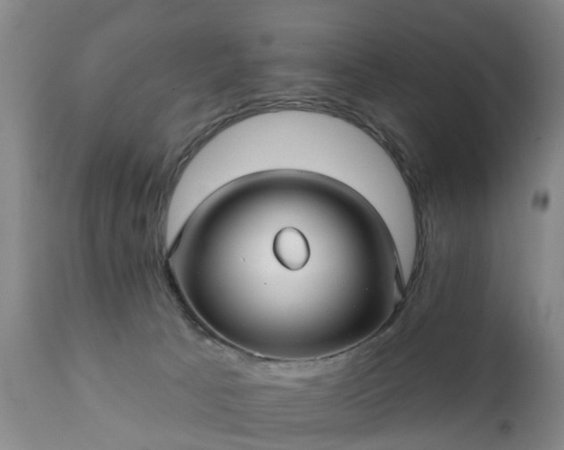 X0000111240033200907091410