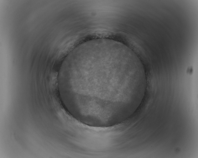 X0000111240034200907091410