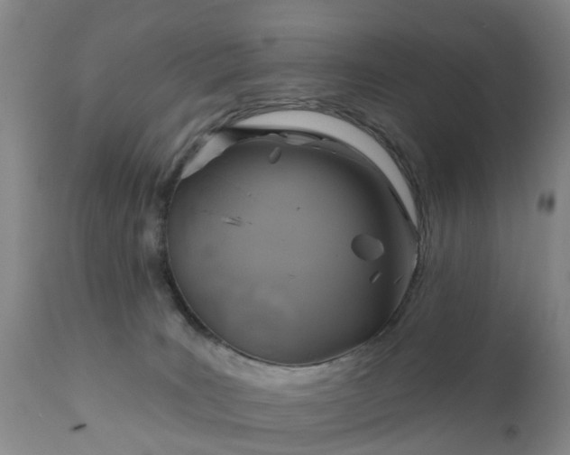 X0000111240035200907091410