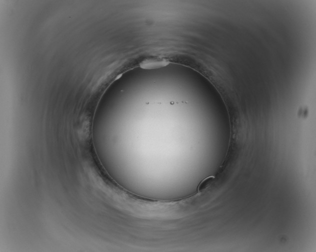 X0000111240036200907091410