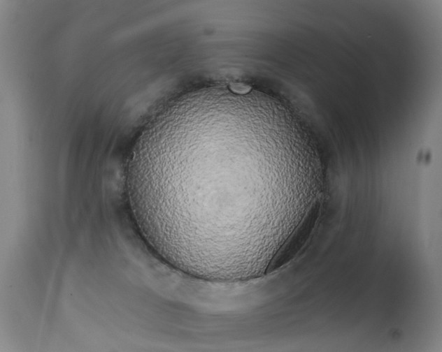 X0000111240037200907091410