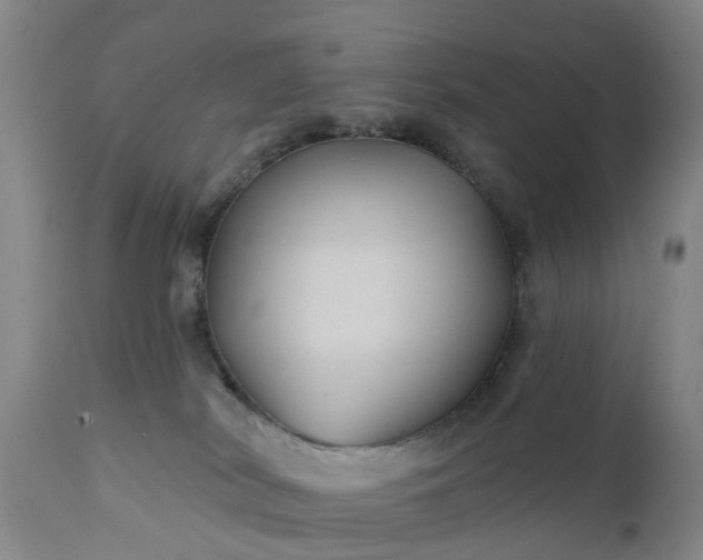 X0000111240038200907091410