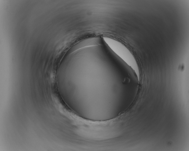 X0000111240039200907091410