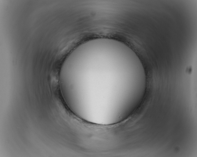 X0000111240040200907091410