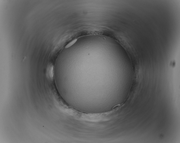 X0000111240041200907091410