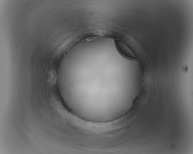 X0000111240043200907091410