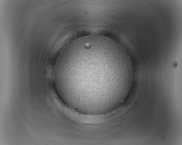 X0000111240044200907091410