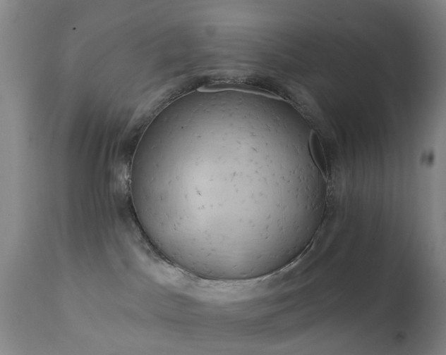 X0000111240045200907091410