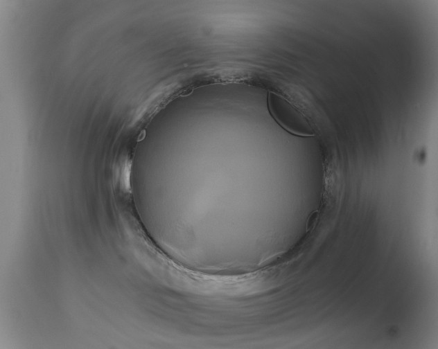 X0000111240046200907091410