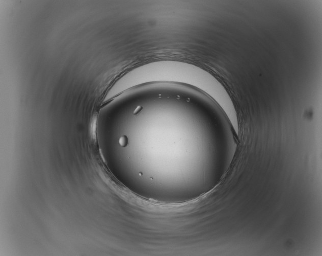 X0000111240047200907091410