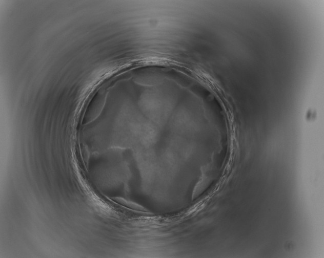 X0000111240049200907091409