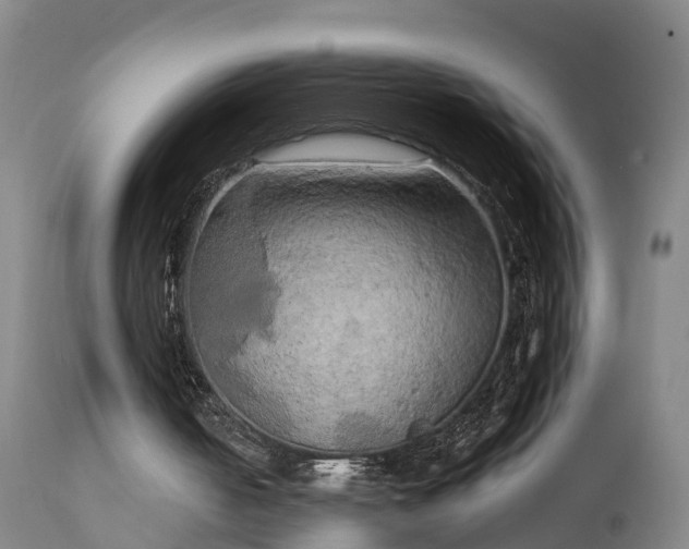 X0000111240050200907091409