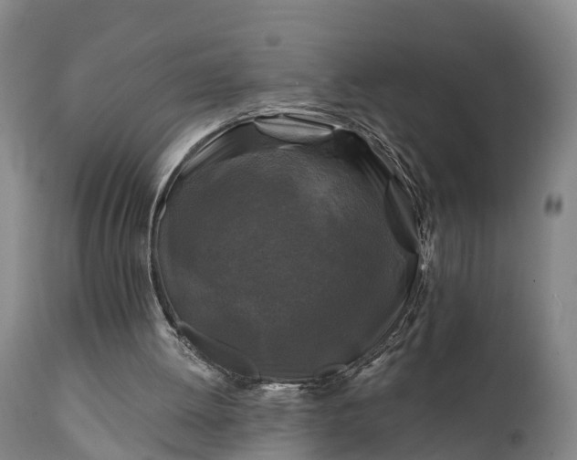 X0000111240052200907091409