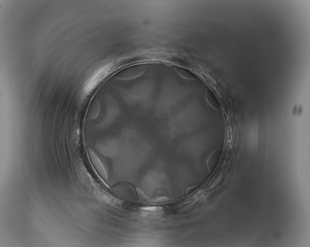 X0000111240053200907091409