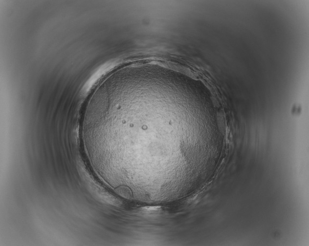 X0000111240054200907091409