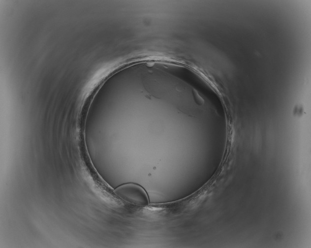 X0000111240055200907091409