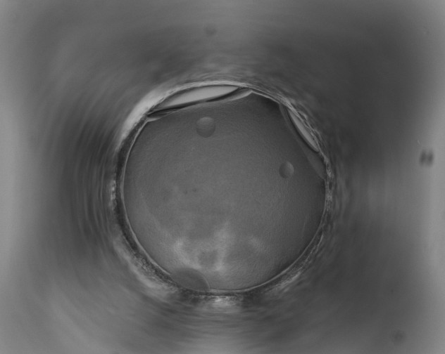 X0000111240056200907091409