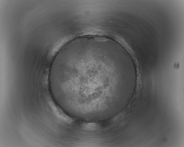 X0000111240058200907091409