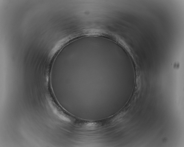 X0000111240059200907091409