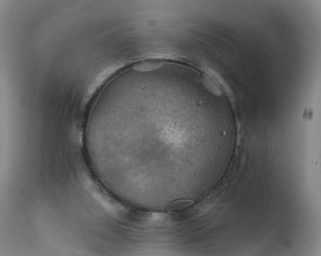 X0000111240060200907091409